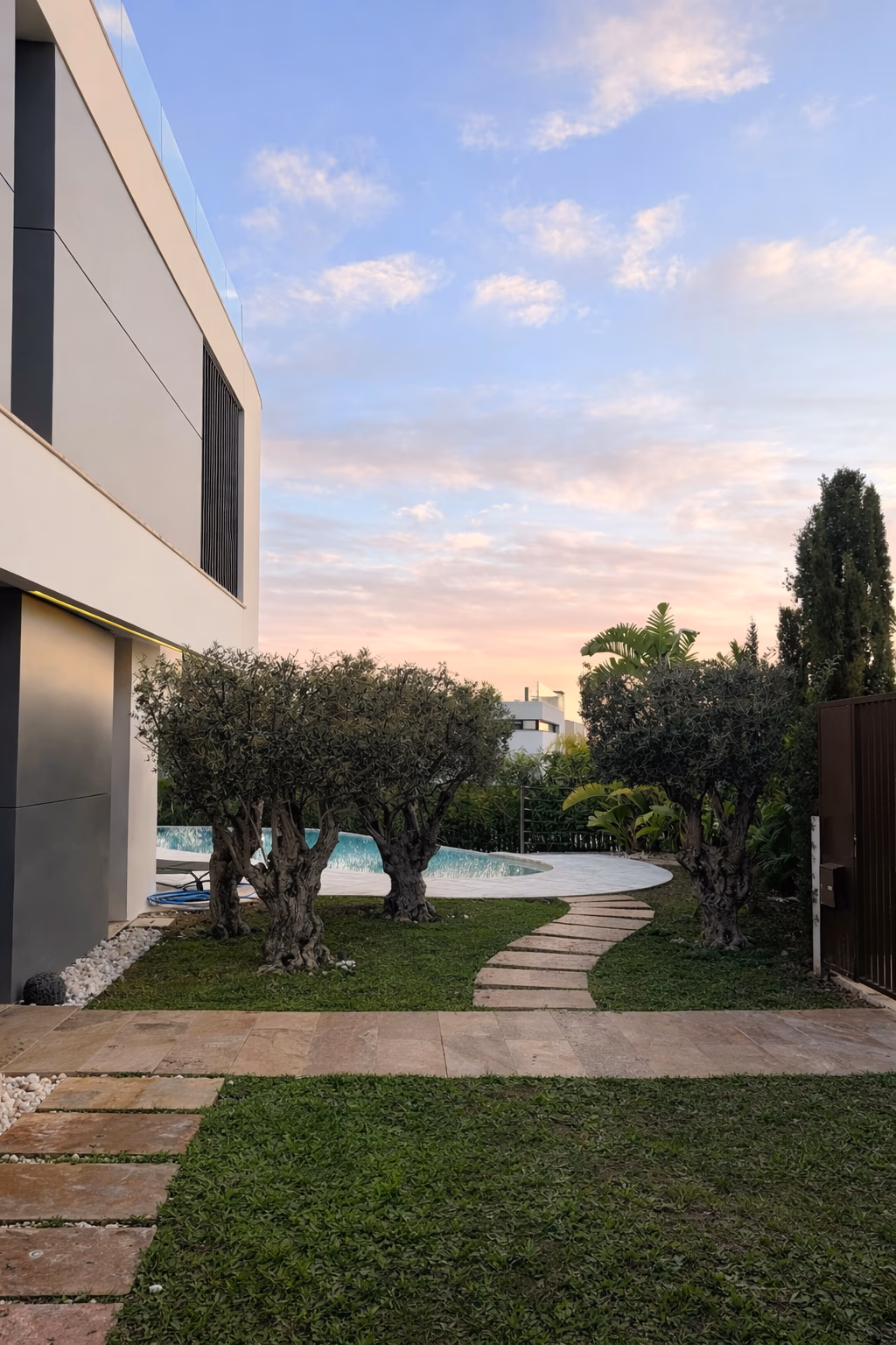 Olive trees and pool reflections at sunset