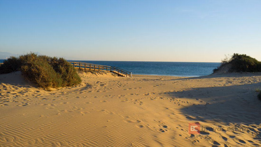 Апартаменты рядом с морем, 2 спальни в Ареналес-дель-Соль - 13