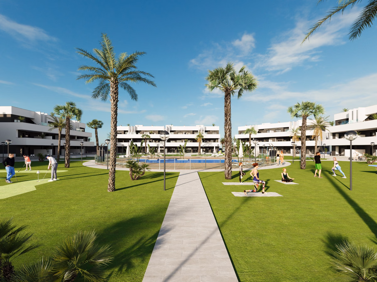 Центральный пальмовый сад со спортивными газонами, Oasis Laguna 2