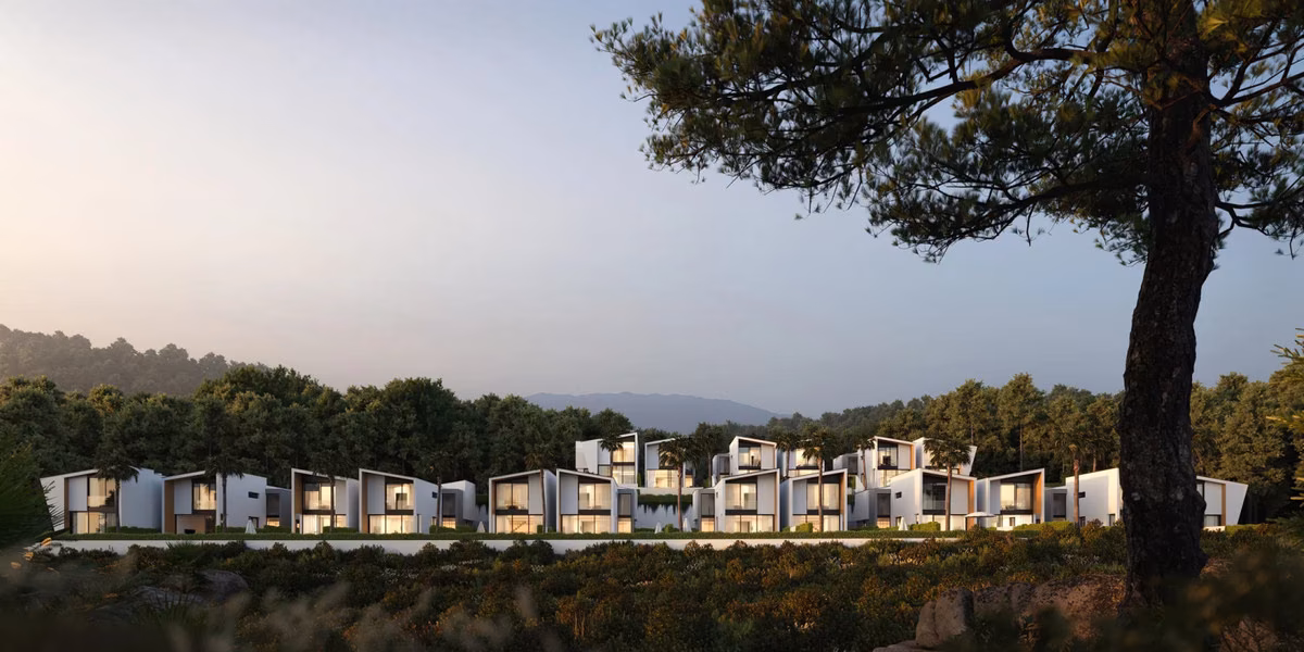 Ряд домов в сумерках под соснами в Pine Valley Villas